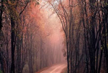 [中超]于汉超突破横传 路易斯门前抢点破.