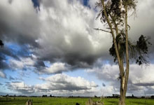 谌龙李龙大入世界羽联名人堂 安洗莹获最佳和最具人气两大奖.