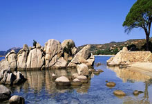 中国女子排超季后赛:辽宁队再胜一场 山东队连战连捷.